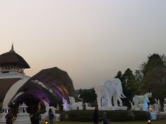 -清迈夜间动物园