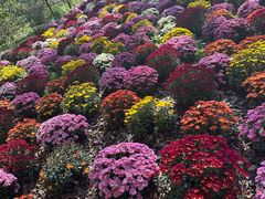 -国家植物园南园