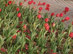 -杭州师范大学(下沙校区)