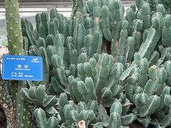 -南山植物园