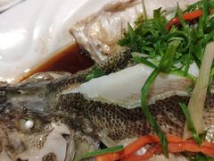 -周锦记广式餐厅