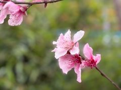 -茅草房·河畔园林火锅