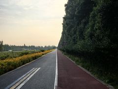 -上海长兴岛郊野公园
