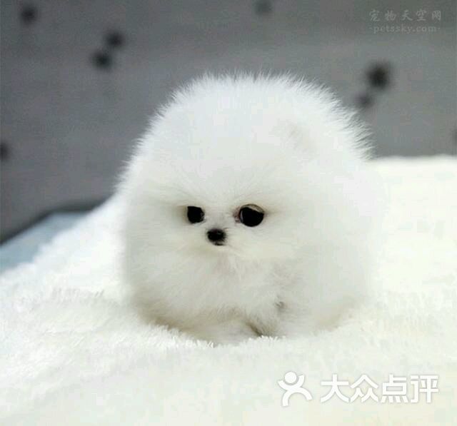 巷简餐图片-北京咖啡厅-大众点评网