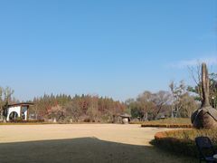 -东平国家森林公园