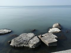 -东方绿舟景区