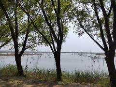 -野鸭湖国家湿地公园