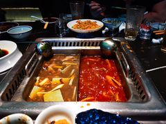 -大隐·成都火锅Bistro(合生麒麟新天地店)