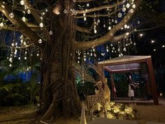 -三亚艾迪逊酒店·海滩烧烤 BARBACOA·现场乐队·浪漫晚餐·烧烤海鲜