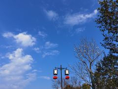 -香雪海