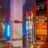 朋友是长沙人，和我一直吹捧湖南米粉比广西粉好吃