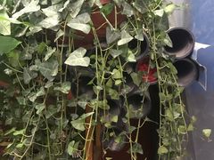 -李先生(邢台国际新城店)