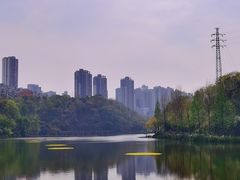 -重庆彩云湖湿地公园