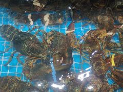 -渔码头食府(蓬莱阁店)