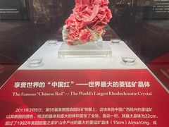 -湖南省地质博物馆