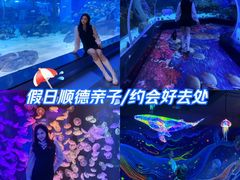 -顺德南宏海立方海洋公园