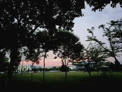 -南京医科大学(江宁校区)