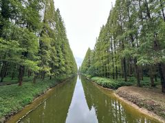 -黄海国家森林公园