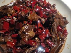 鸽子全家福-三强鸽子(中原路店)