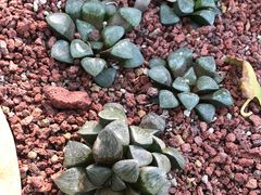 -南通洲际绿博园