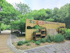 -同里国家湿地公园