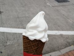 -富豪雪糕车流动点(尖沙咀店)