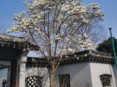 -无锡梅园公园