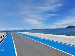 -老炳·七丛松甘草水果