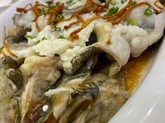 -海晖酒楼·顺德鱼生(荣华店)