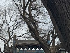 -北京国子监胡同