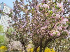 -元大都城垣遗址公园