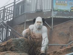 -西霞口神雕山野生动物世界