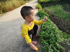 -星巴克臻选(深圳龙岗万科店)