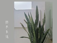 -素咫咖啡CLIFEROSE
