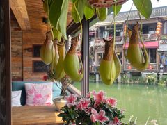 -望亭阁(朱家角古镇店)