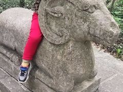 -紫金山山顶公园