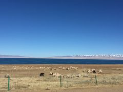 -青海湖国家重点风景名胜区