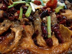 -老板恋上鱼(恒隆广场店)