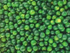 -沈阳市八家子水果批发市场