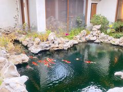 -鲤院·新中式美学·庭院餐厅(夫子庙店)