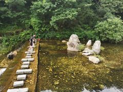 -牛背梁国家森林公园