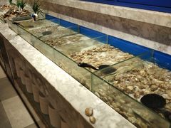 水产区-火锅岛潮牌自助餐厅(天津天佑城店)