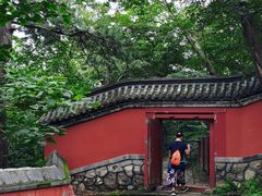 -阳台山自然风景区