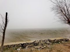 -嬉子湖生态旅游区