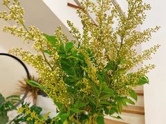 -森野花艺培训·企业团建活动沙龙