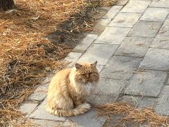 -大钟寺古钟博物馆