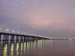 -宝安西湾红树林湿地公园