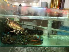 螃蟹-四海鲜渔家菜(黄金海岸店)