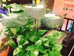 -花见居酒屋(左岭店)