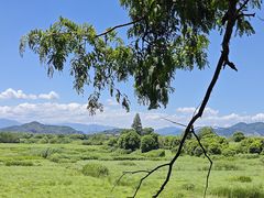 -良渚古城遗址公园